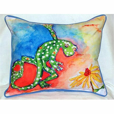JENSENDISTRIBUTIONSERVICES Gecko Large Indoor-Outdoor Pillow 16 in. x 20 in. MI48779
